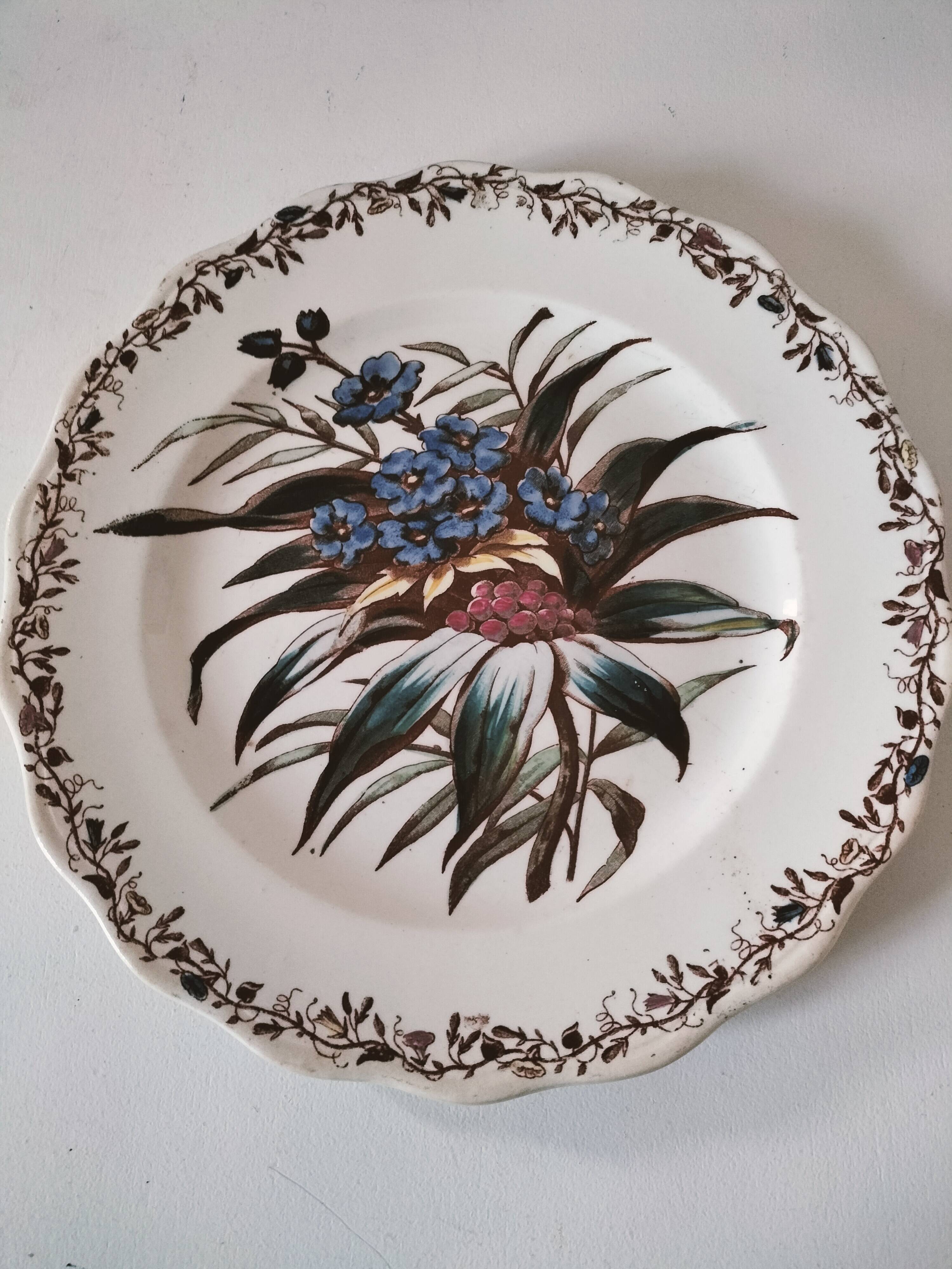 Sanejouand & Graves Clairefontaine plate, polychrome Tavia decoration