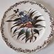 Sanejouand & Graves Clairefontaine plate, polychrome Tavia decoration