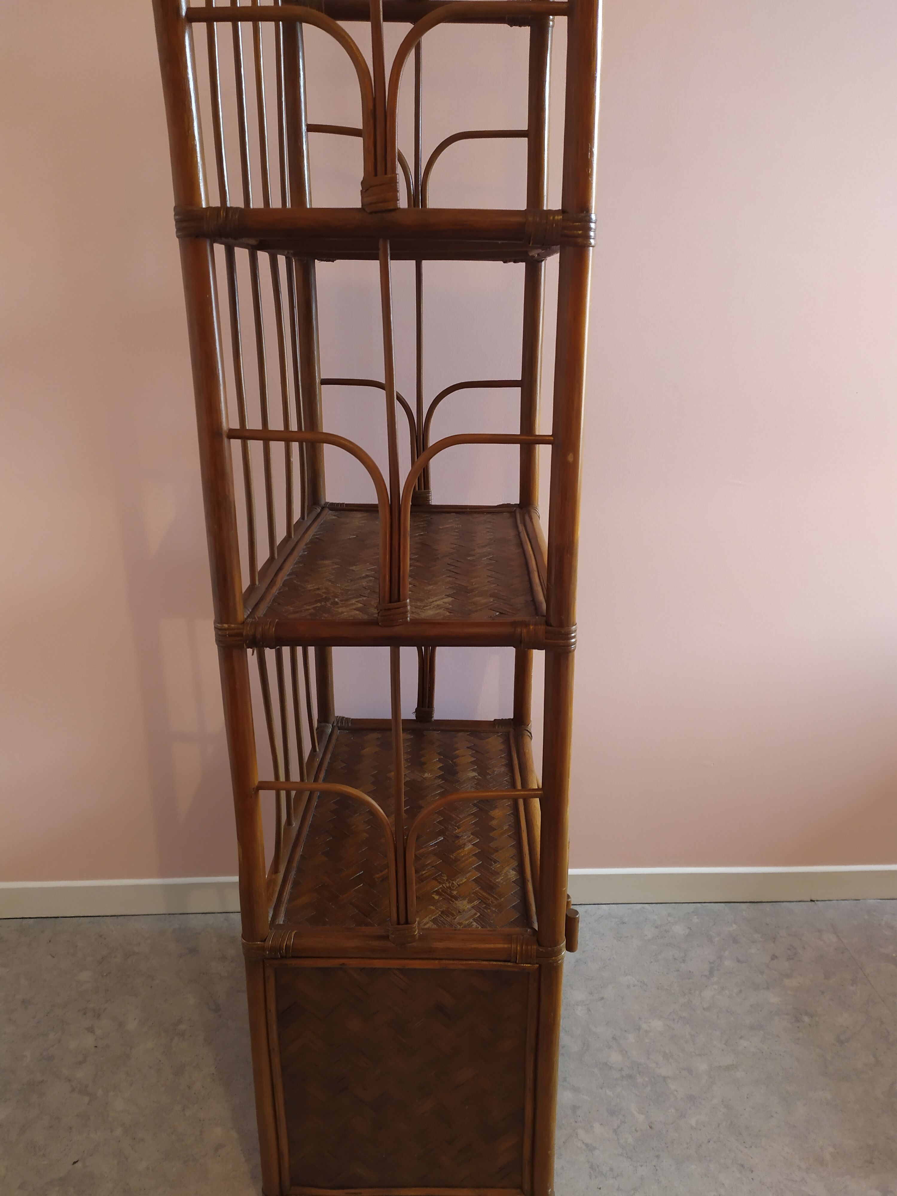 Rattan and bamboo library