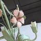 Ancien lustre fleuri italien