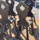 Lot 6 chaises brutalisées campagne montagne