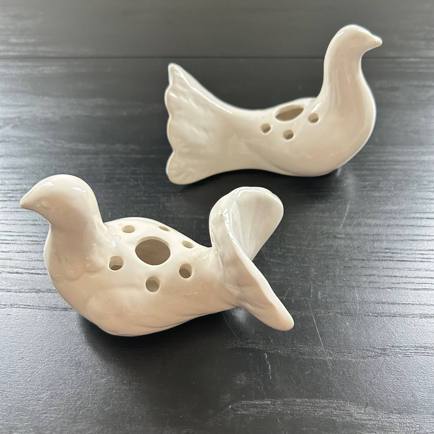 Duo of doves pecking flowers