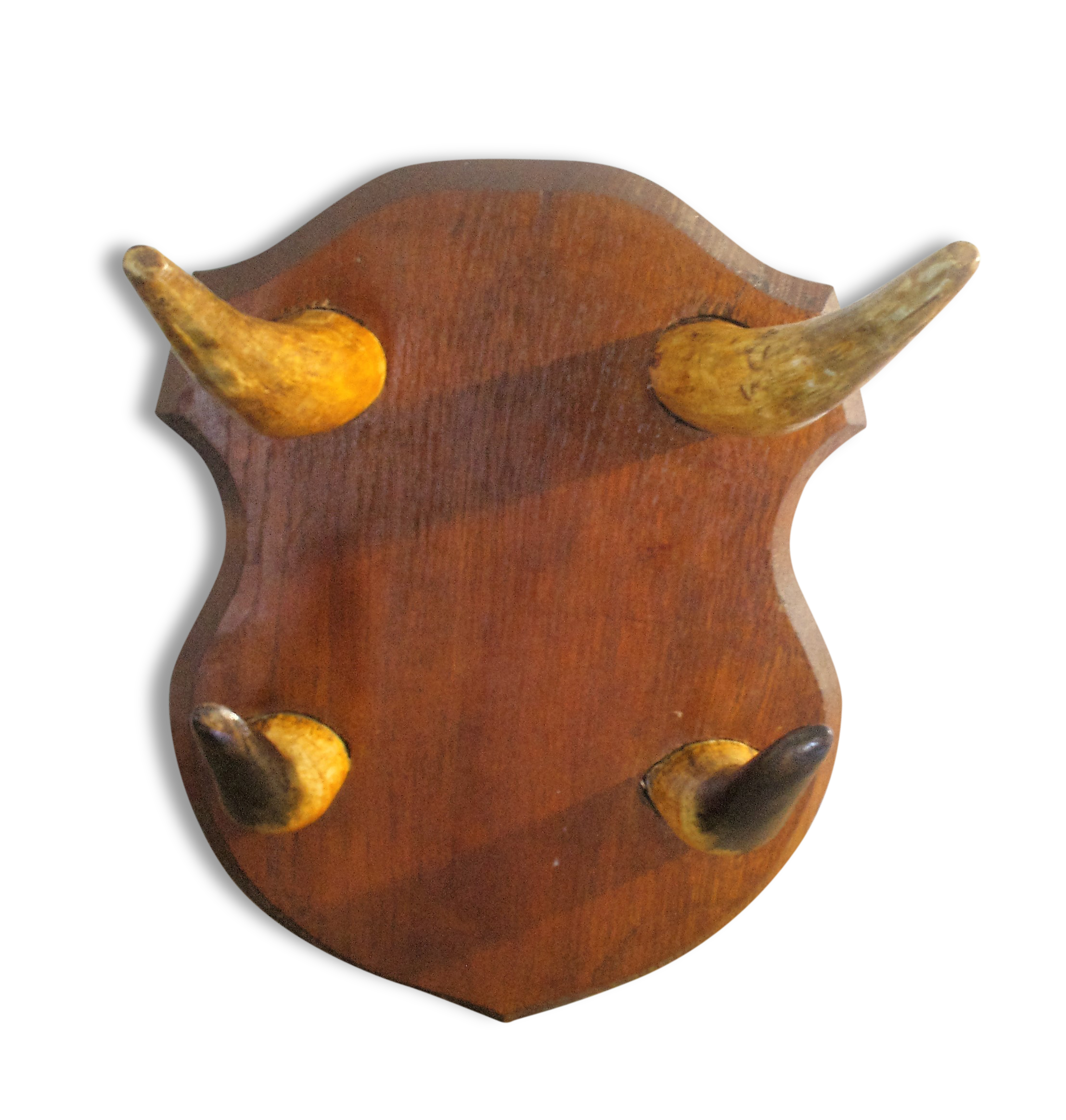 Coatrack in Horn