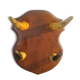 Porte manteau en corne