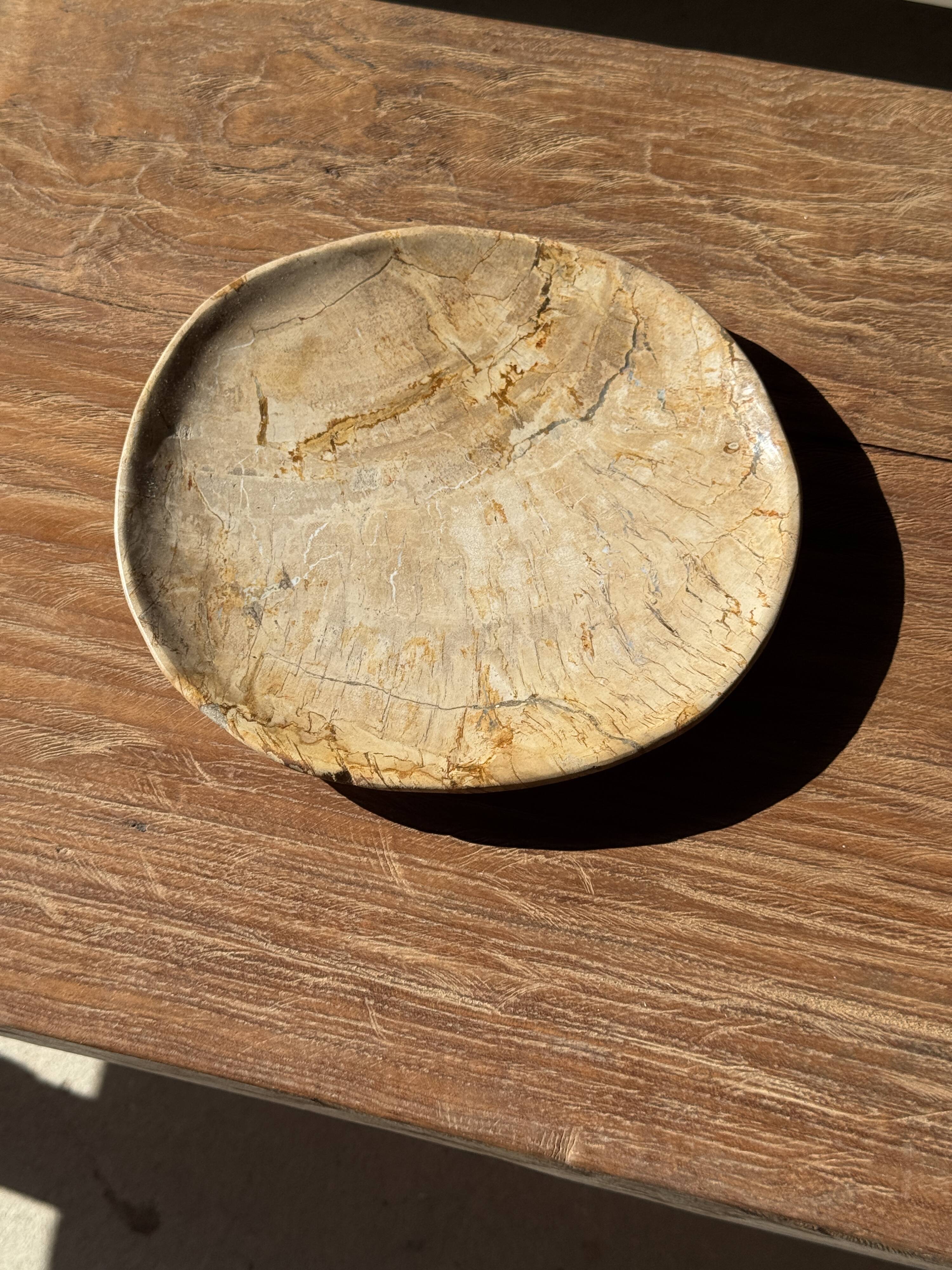 Small pocket tray or circular beige petrified wood dish D22.5-20 -3310