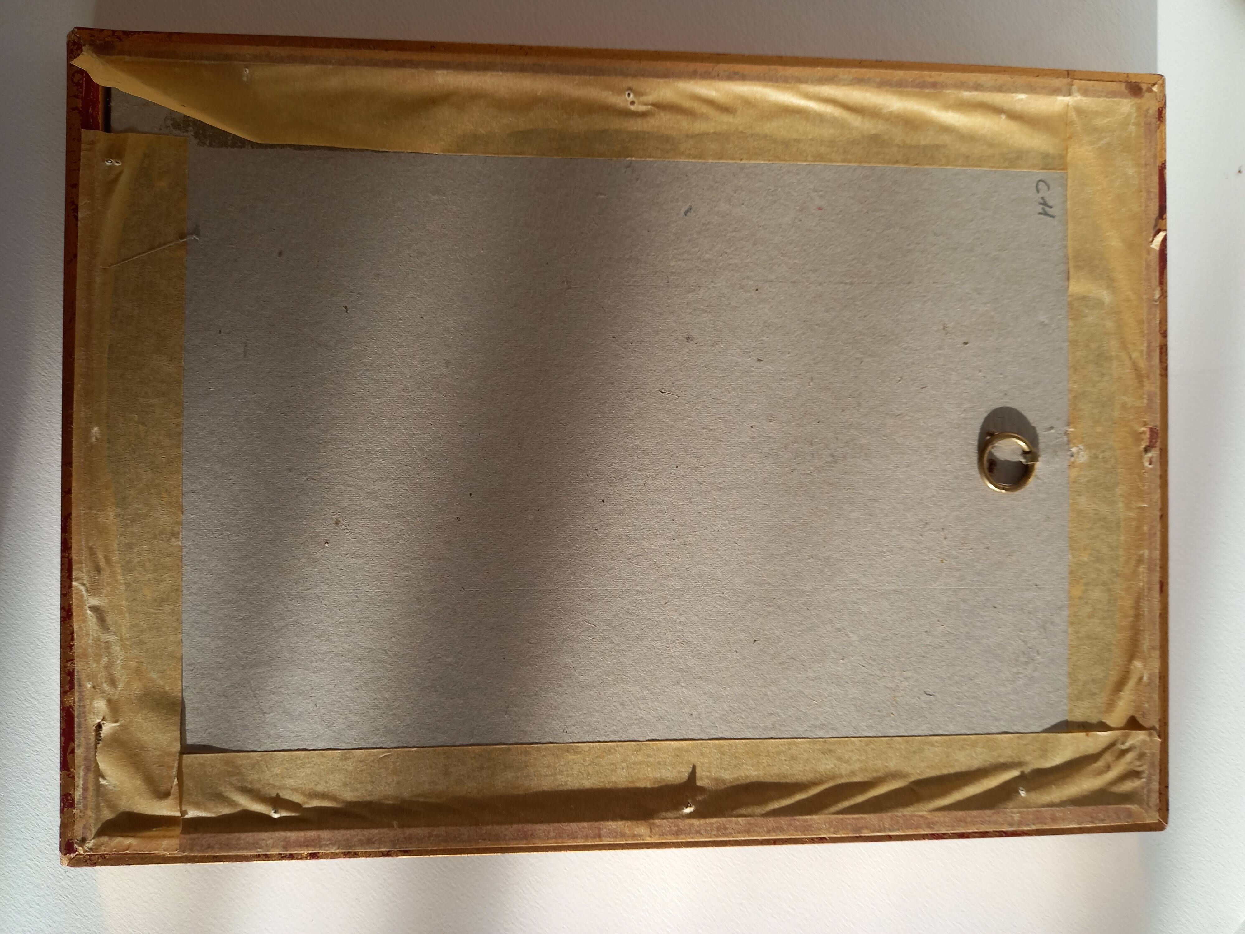 Two botanical drawings