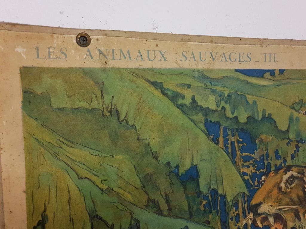 School Poster - The Royal Tigers