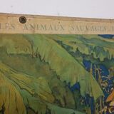 School Poster - The Royal Tigers