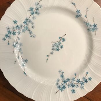 Porcelain flat plates 