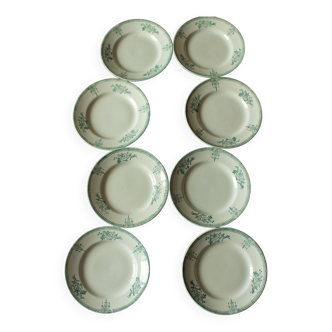 Set of 8 flat plates with green plant garlands Saint Amand