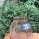 Vase in Rosaline