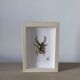 Hand-embroidered insect tableau (unique piece)