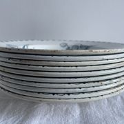 Set of 10 hollow plates Terre de Fer XIXth, model Madrid