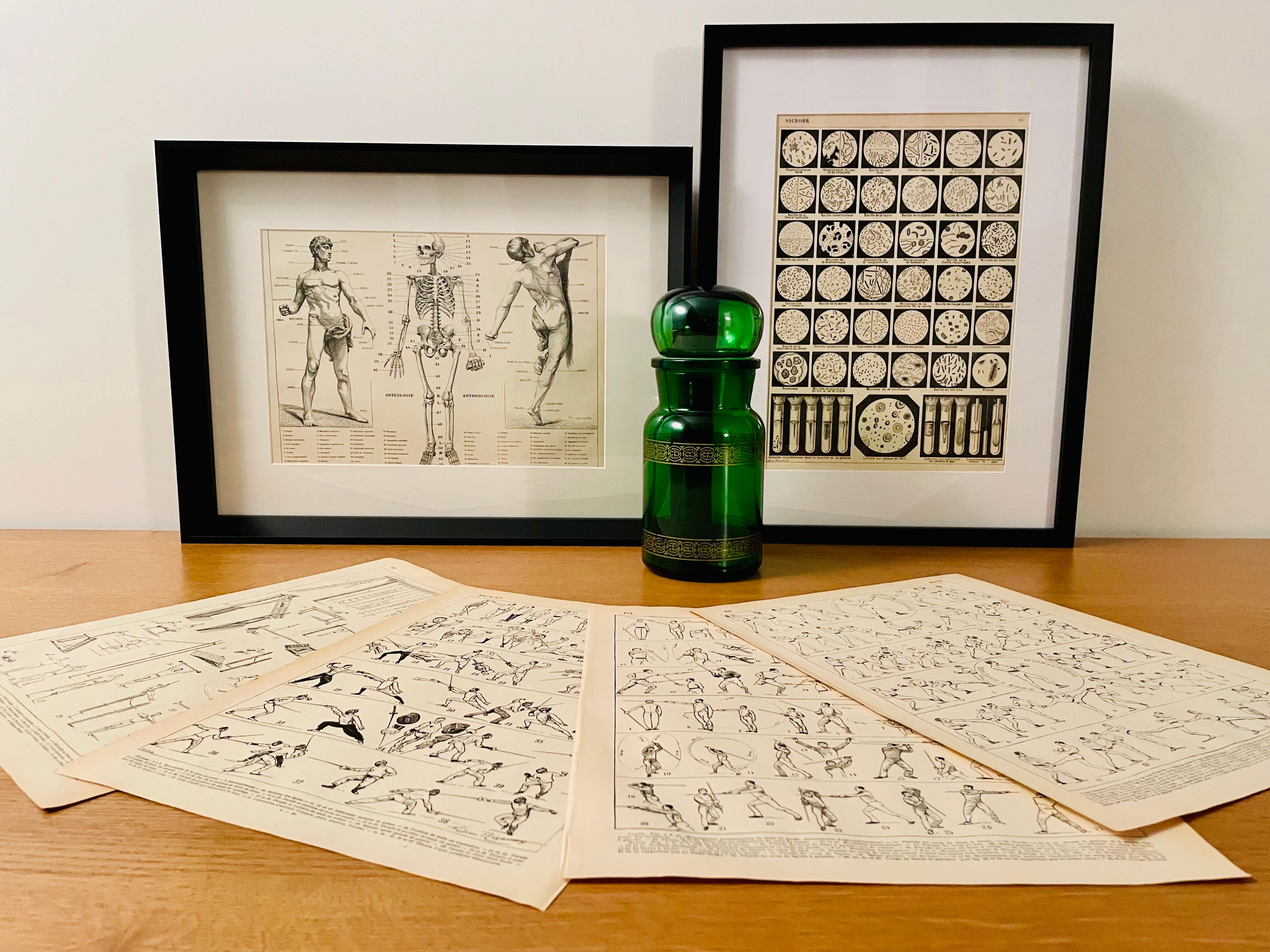 Lithograph on microbes from 1921