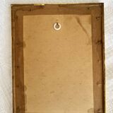 Botanical illustration PJ Redouté