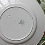 7 earthenware dessert plates with apple decoration and barbotine outline KG Lunéville