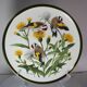 Franklin Wedgwood Singer Arthur plates 1977 x12 "songbirds of the world"