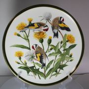 Franklin Wedgwood Singer Arthur plates 1977 x12 "songbirds of the world"