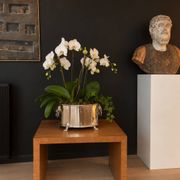 Jardinière