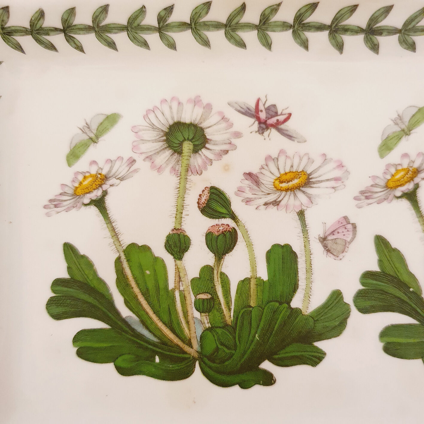 English ceramic butter dish