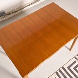 Vintage Scandinavian style dining table, side extensions