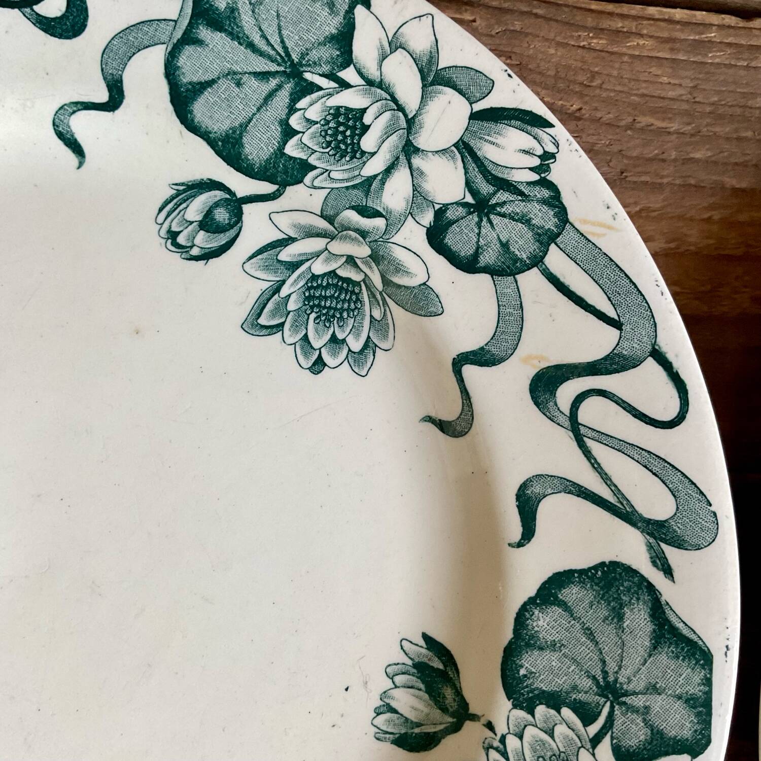 4 Nénuphar plates R & A Salins