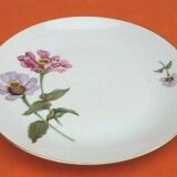 6 Bohemian Fine Porcelain Dinner Plates