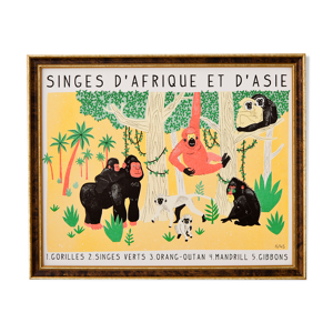 Planche naturaliste de primates