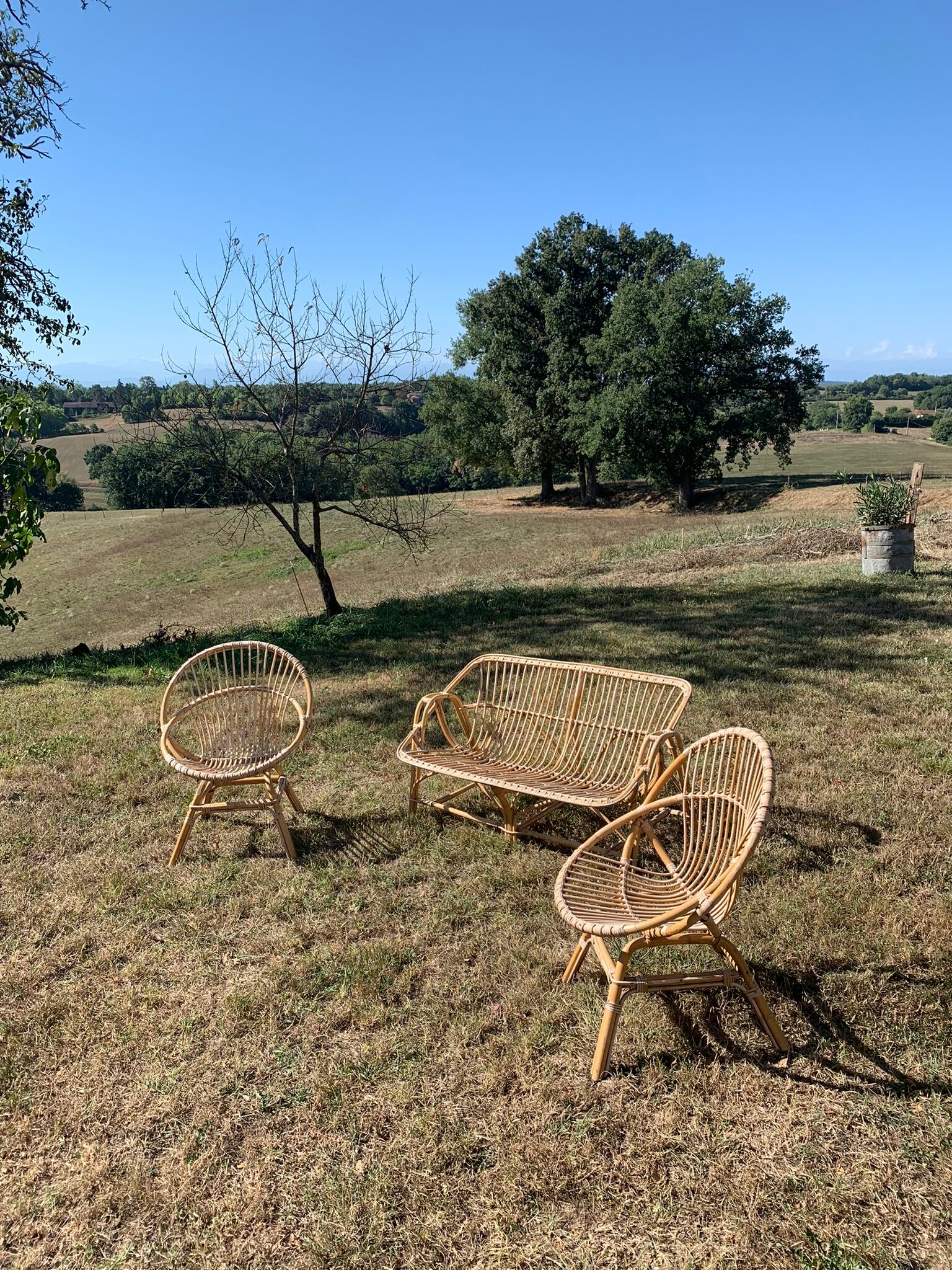 Sofa and its two vintage rattan armchairs