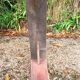 Solid wood farm bench dpm 1123783