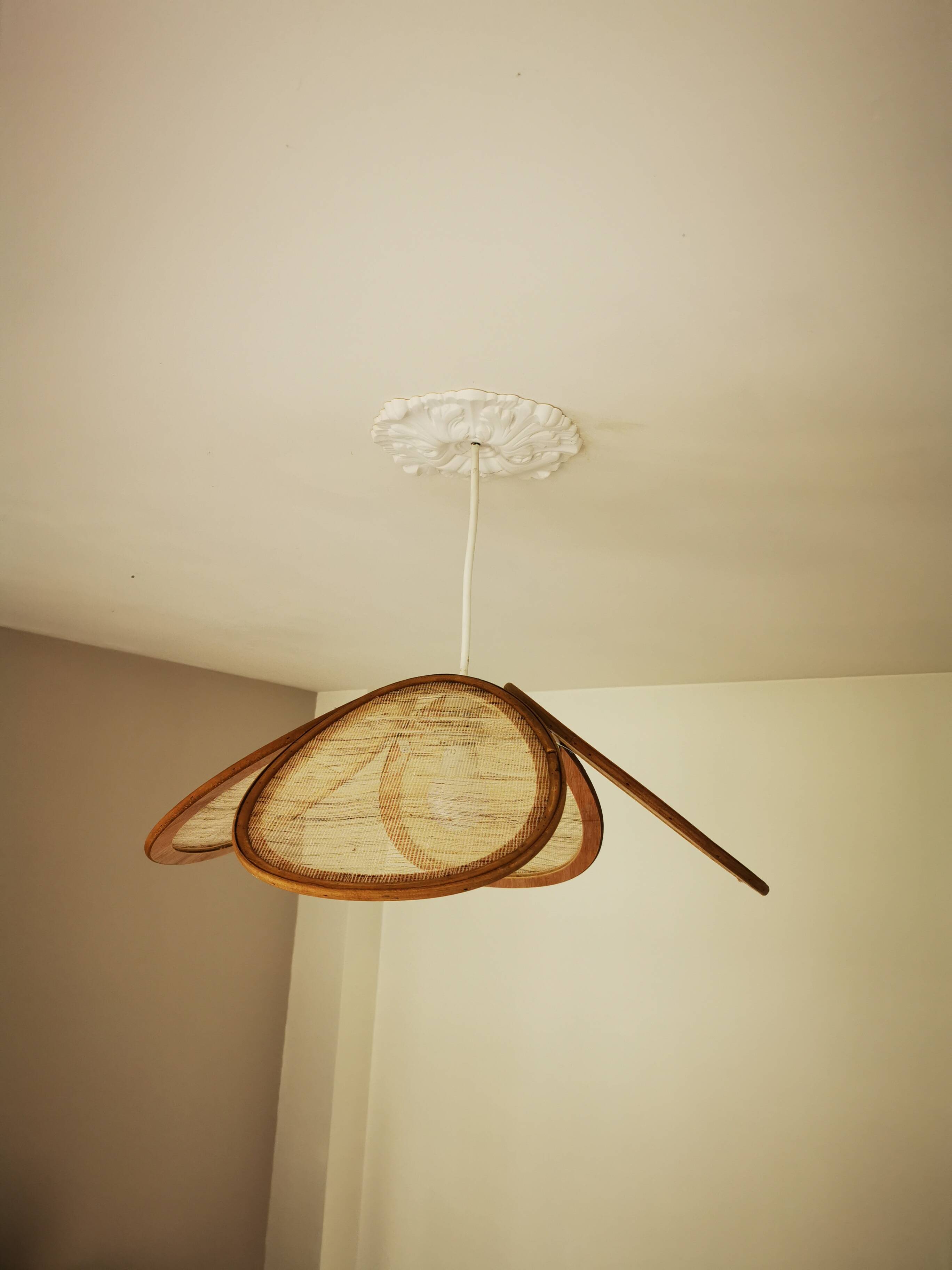 Suspension canvas and bamboo