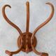 Paire de Porte-manteau ou patères en bois courbé des années 1900