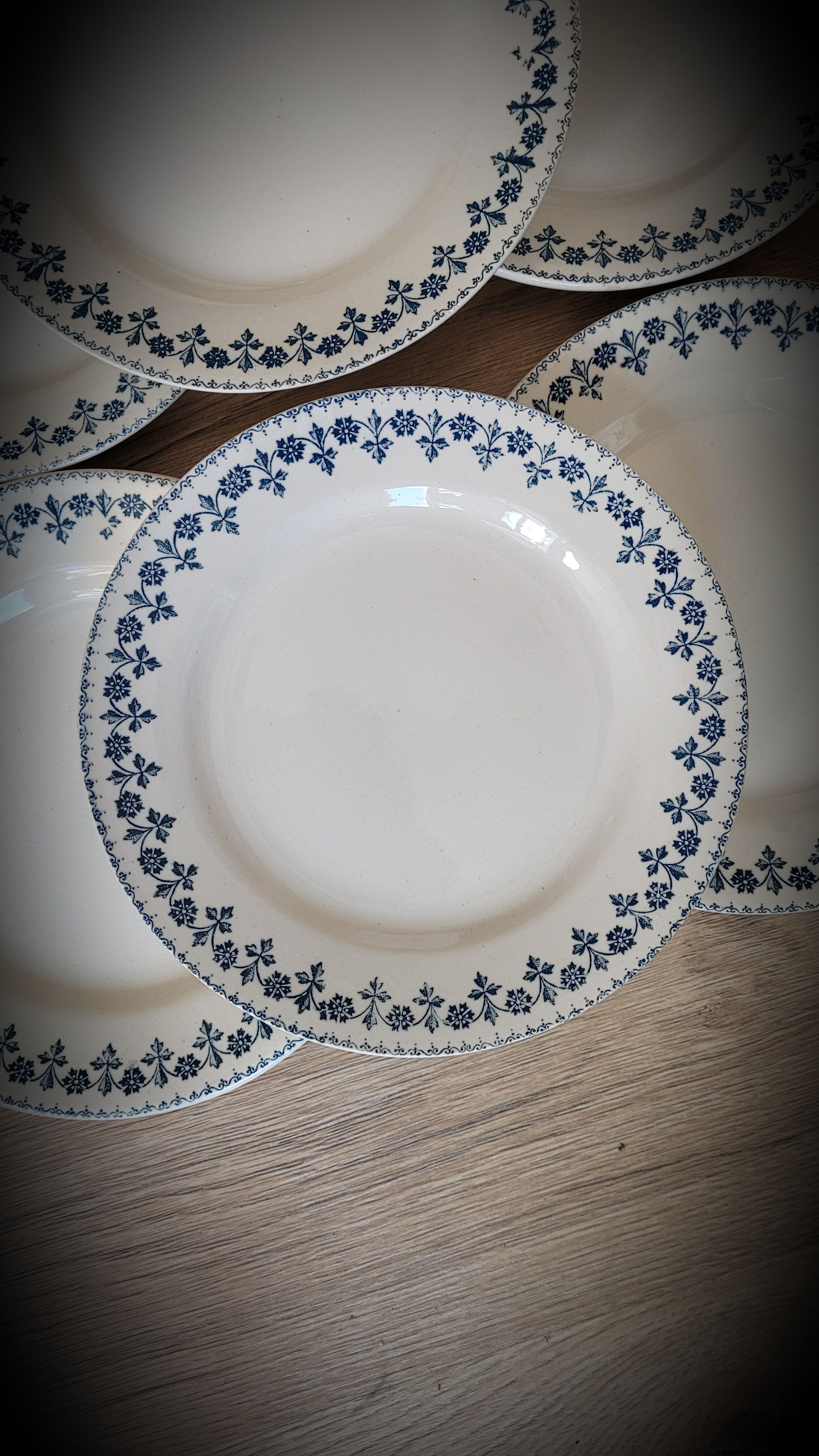 Set 6 plates Terre de Fer Barbeaux