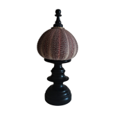 Sea urchin skeleton gracilechinus acutus