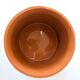 Terracotta cache-pot and slip - Maison Chaumette Paris