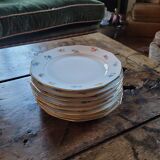 8 porcelain dessert plates with gold rim and various flowers