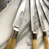 Series of horn knives