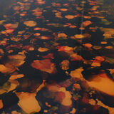 Vintage coffee table in brass and glass