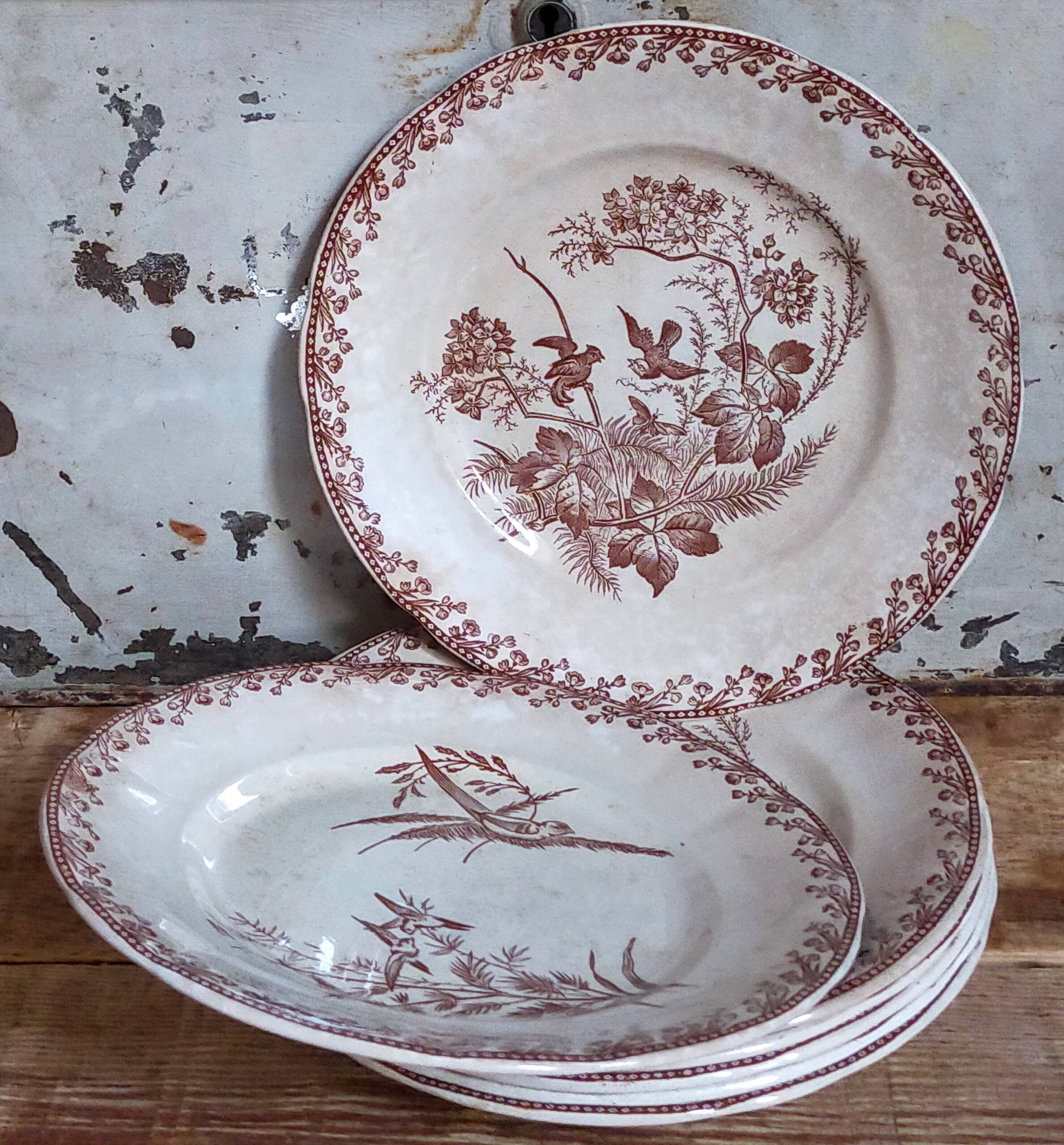 Seven iron earth dessert plates with birds ffPexonne late 19th century