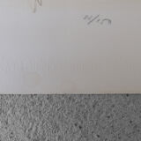 Color Lithography on Van Gelder Zonen Paper by Jörgen Fogelqvist, 1980s