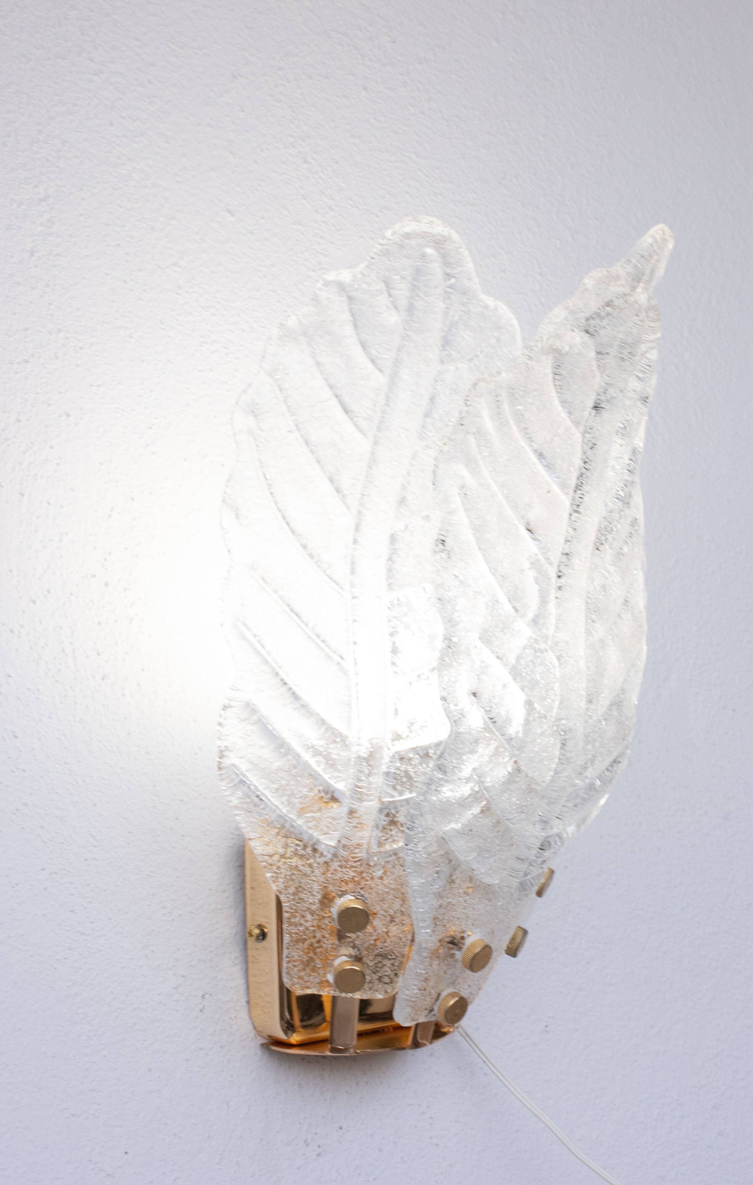 Set of 4 Florence, elegant Murano wall light transparent leaves, 1970