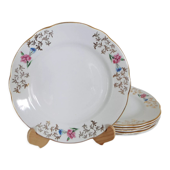 6 flat flowered plates