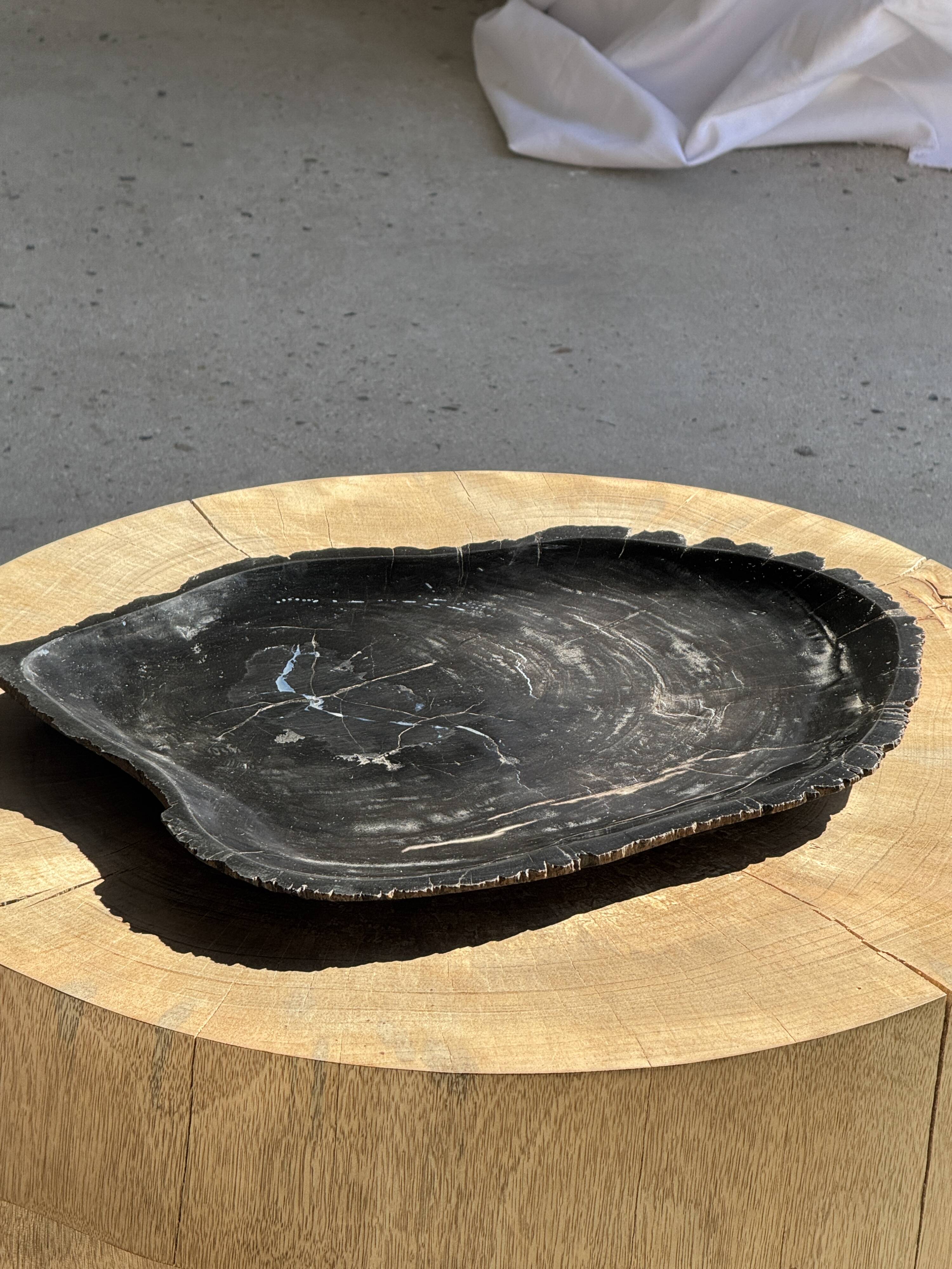 Very large black petrified wood tray or bowl D35