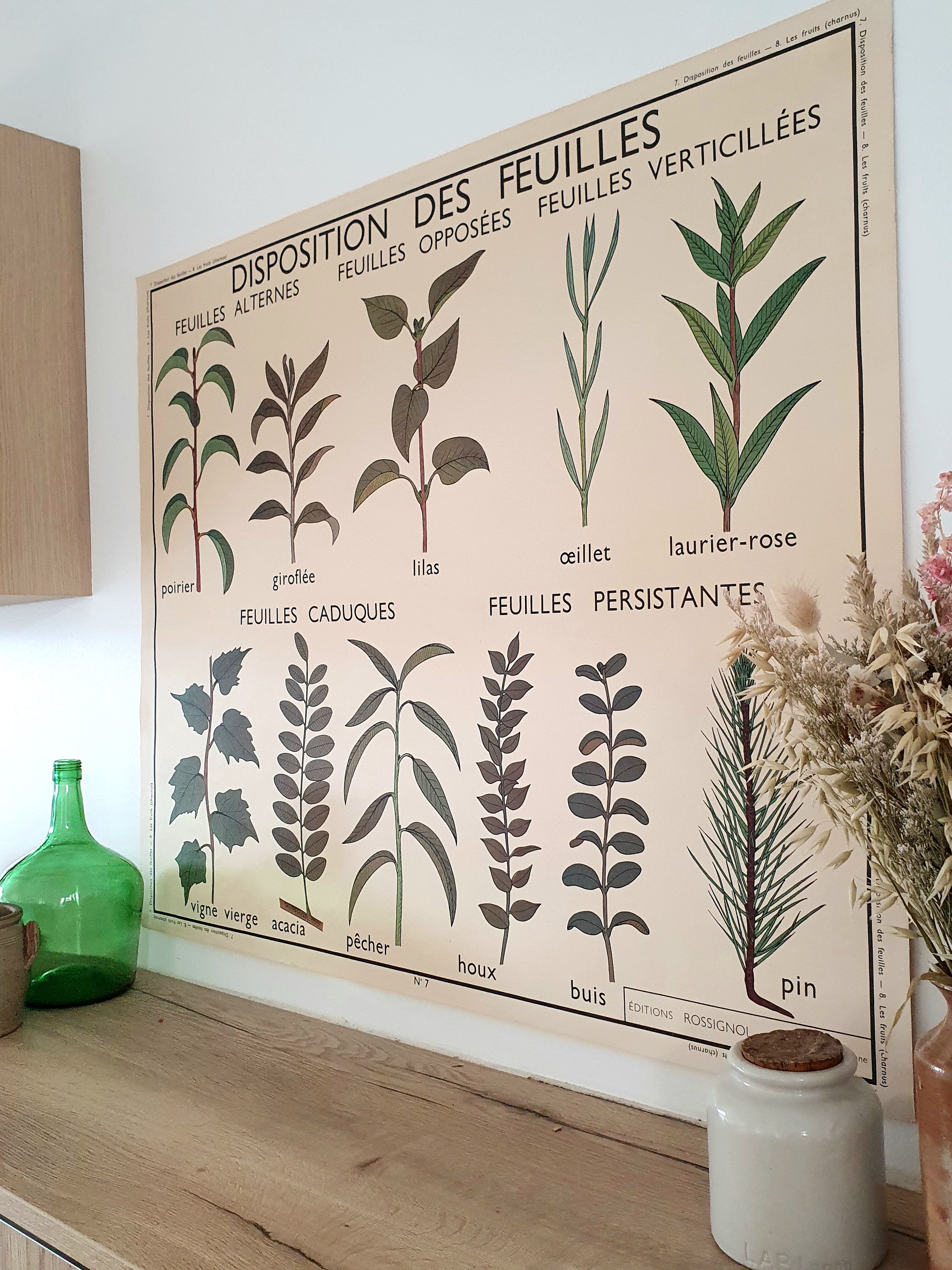 Rossignol school poster