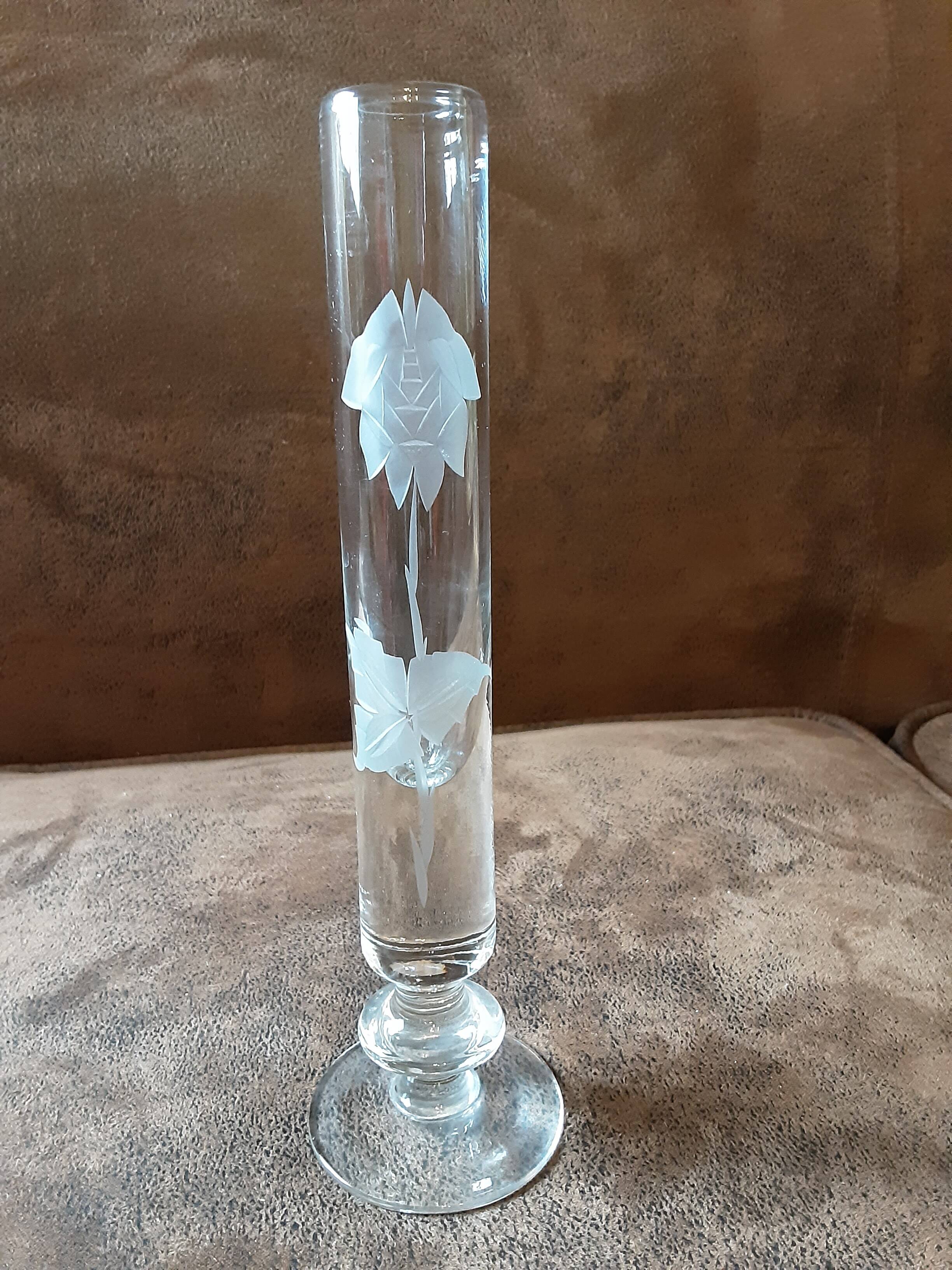 Crystal passionflower