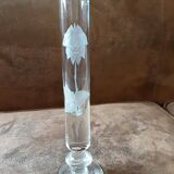 Crystal passionflower