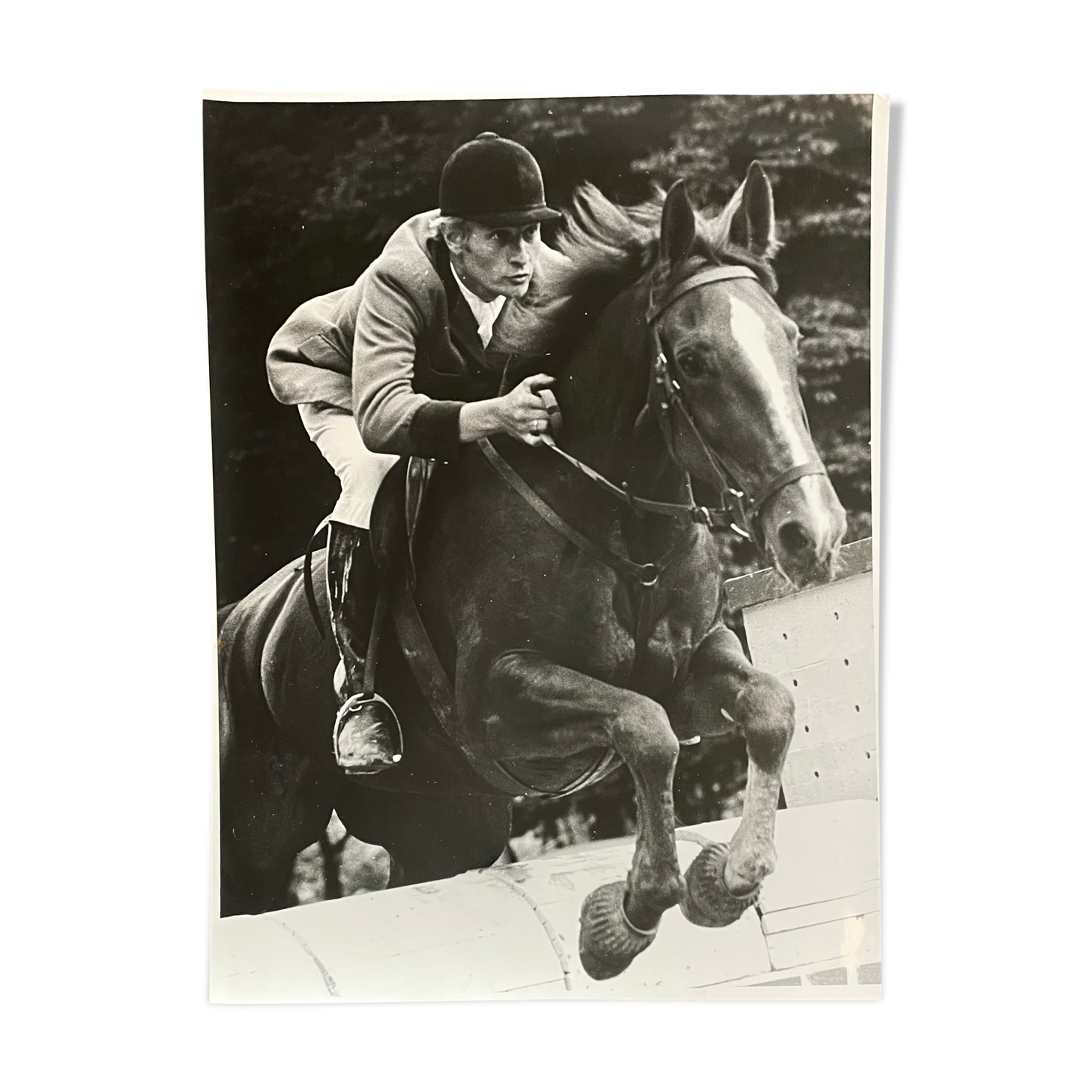 Photograph black and white silver print circa 1970 riding competition