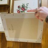 Lot of 7 pink botanical lithographs 1950