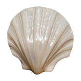 Earthenware shell vase