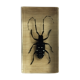 Insecte en bloc résine